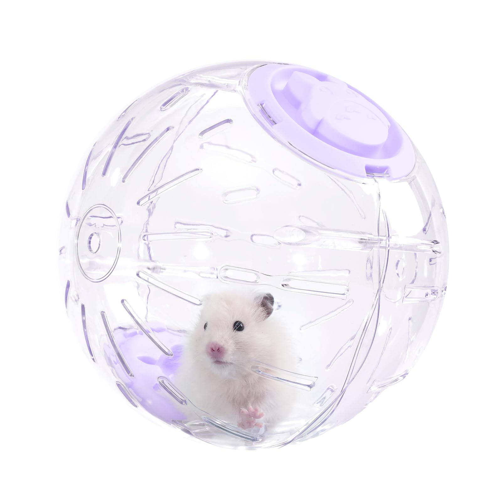 Transparante hamster loopbal van 7,9 inch met ventilatieopeningen voor Syrische hamsters, gerbils, muizen en kleine knaagdieren