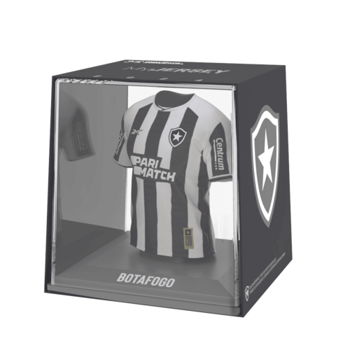 Botafogo 2024