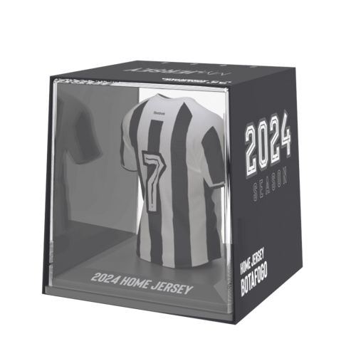 Botafogo 2024