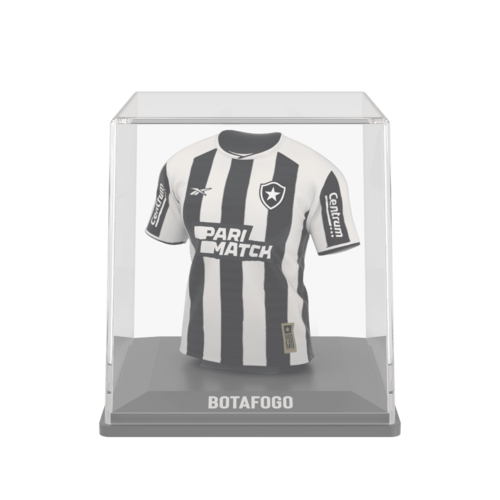 Botafogo 2024