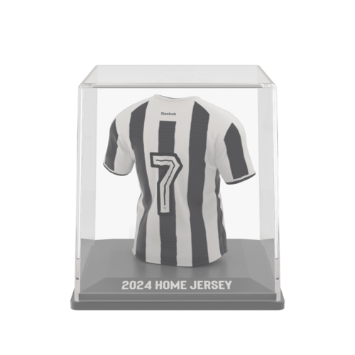 Botafogo 2024