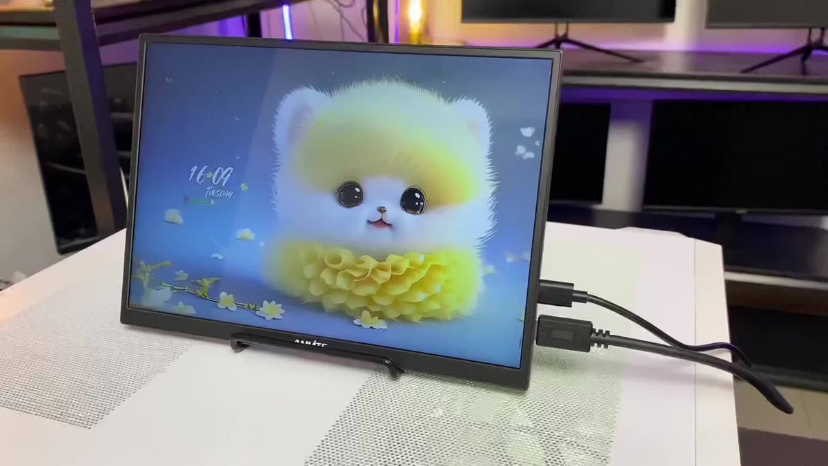 Draagbare monitor van 10,5 inch met HDR-ondersteuning