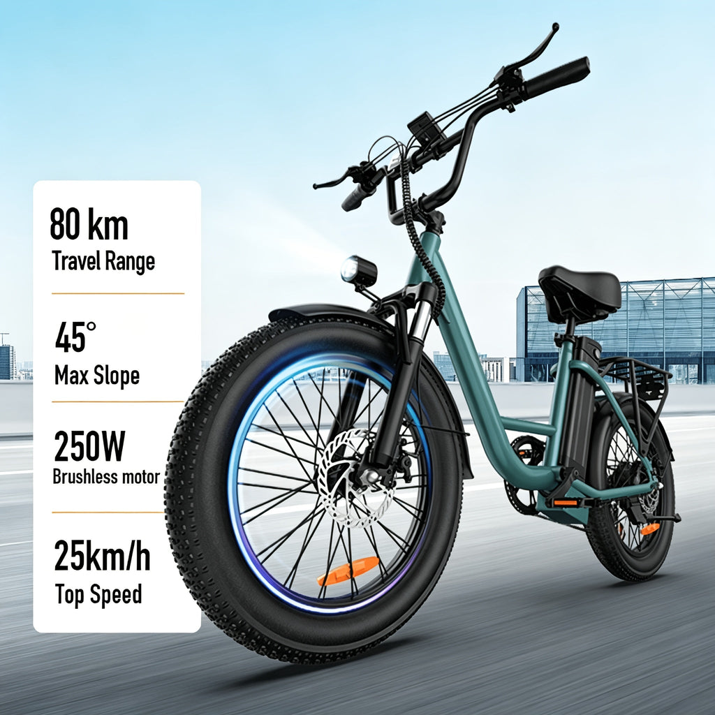 -bike met 13Ah accu en tot 80 km bereik