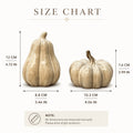Set van 2 keramische pompoen decoraties voor de herfst